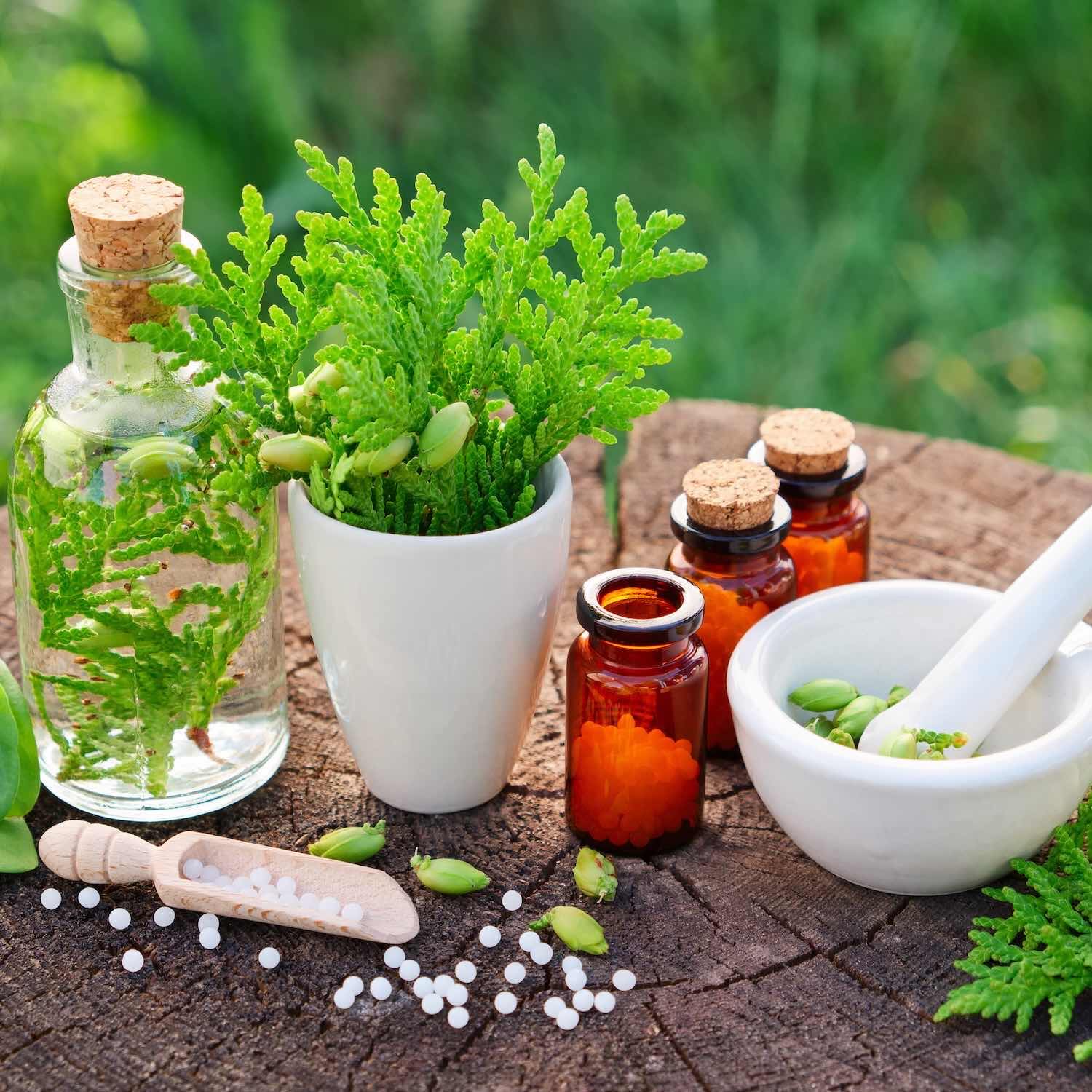 Homéopathie, Pharmacie Principale, Saint-Julien-en-Genevois